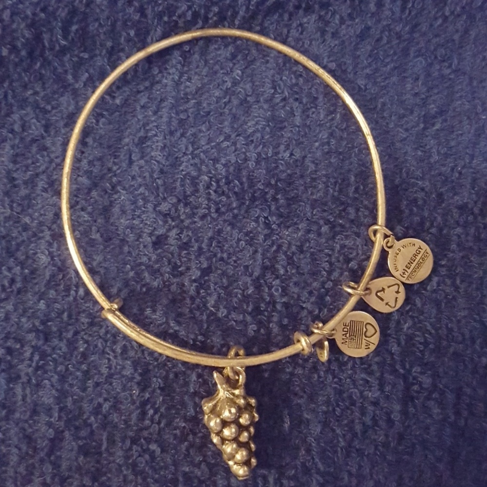 Alex and Ani Grapes wire bangle